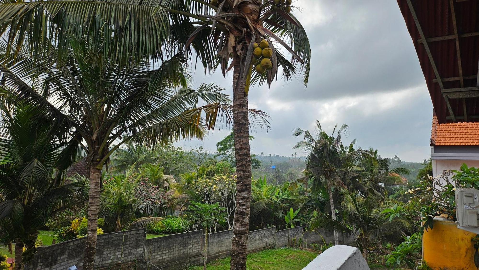 Pondok Pisces Bungalows Balian Beach Selemadeg  Номер фото