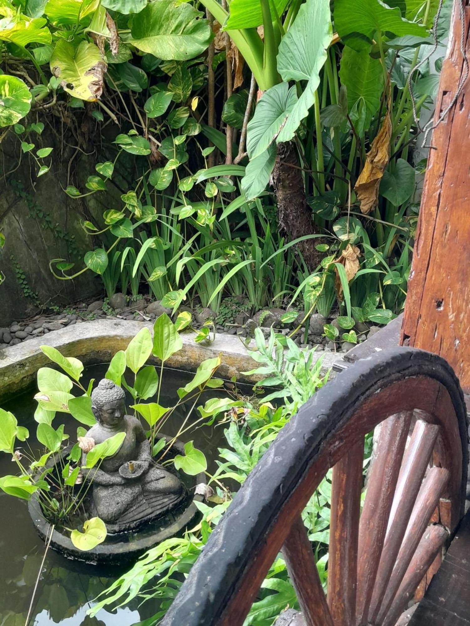 Pondok Pisces Bungalows Balian Beach Selemadeg  Номер фото