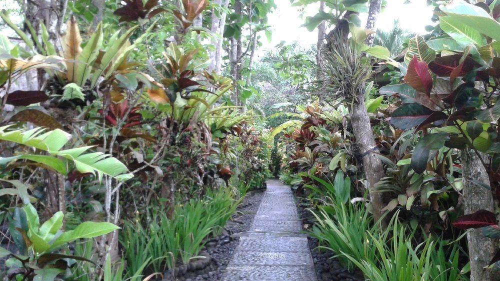 Pondok Pisces Bungalows Balian Beach Selemadeg  Экстерьер фото